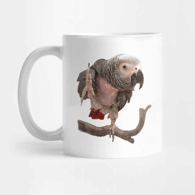 Einstein Parrot Waving by Einstein Parrot